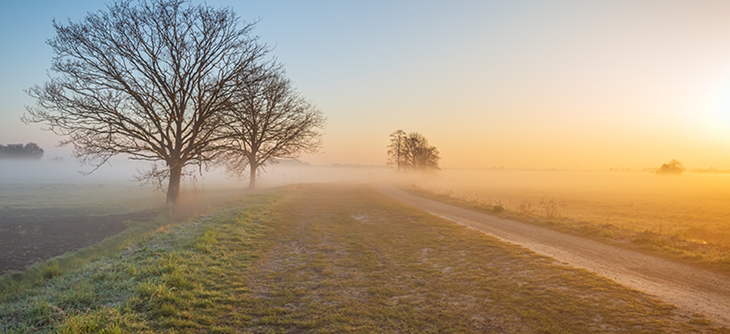 lanscape morning sun