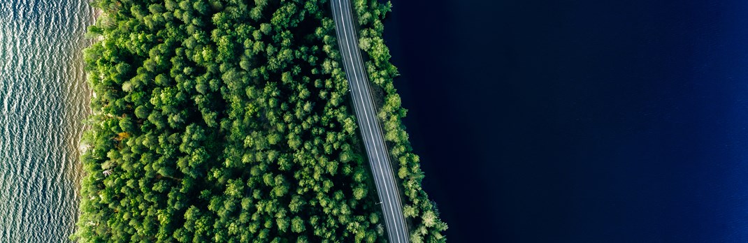 road forest water edit