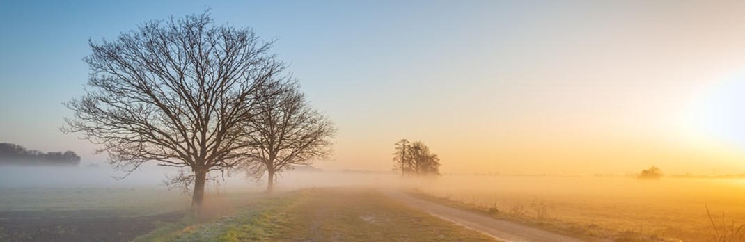 hero-low-carbon-primary-us