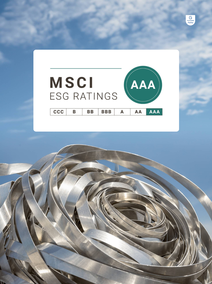 msci-rating-2025